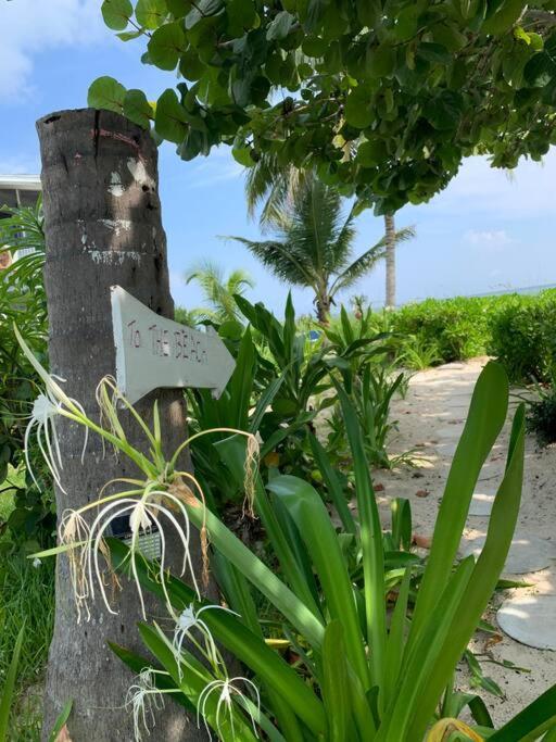 Appartement Beach'nbarefoot *